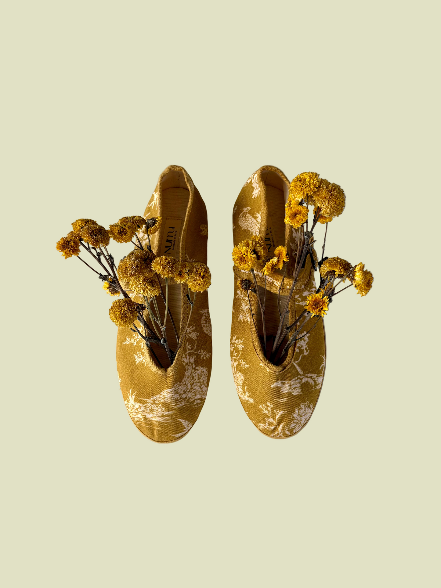 Ballerinas Celine - Ambar EDICIÓN LIMITADA